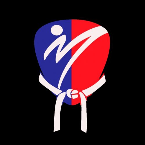 Логотип организации Детская Лига Каратэ